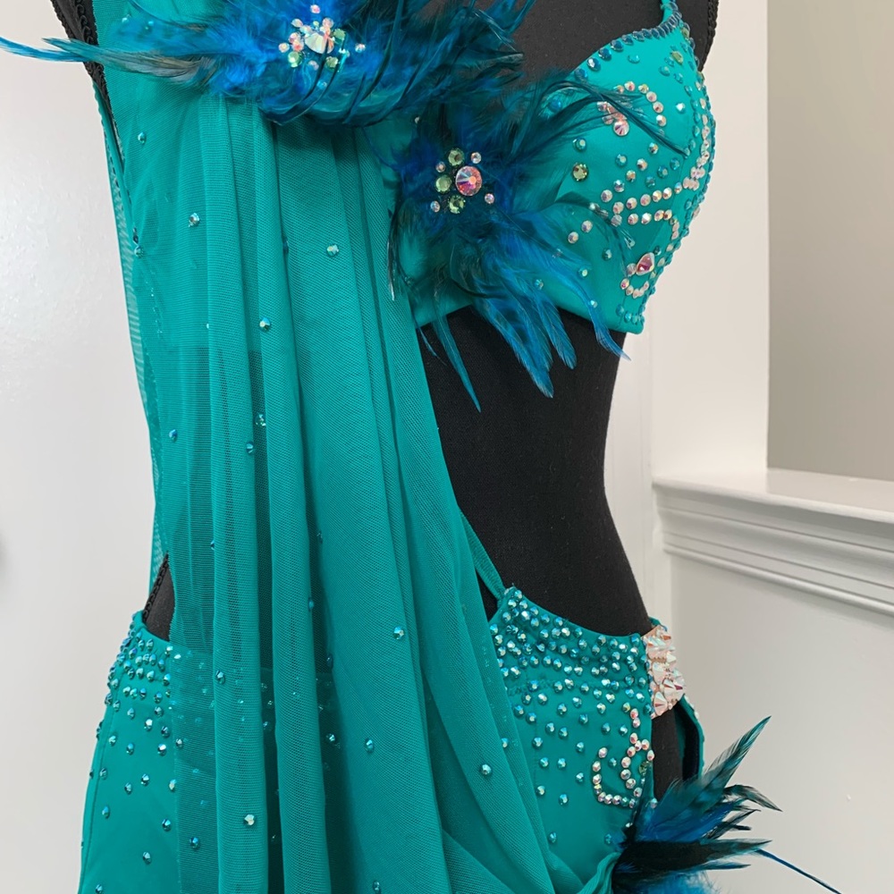NWOT amazing Latin Ballroom Competition dress - Picture 11 of 11